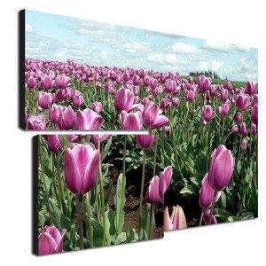 0mm無(wú)縫拼接屏、拼接屏、液晶拼接屏、天津拼接屏、無(wú)縫液晶拼接屏